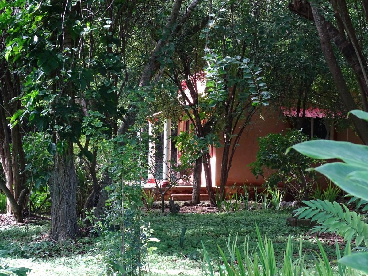 The Flycatcher Inn Retreat Hotel Santa Elena Kültér fotó